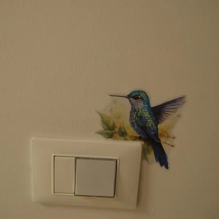 Il Colibri' *