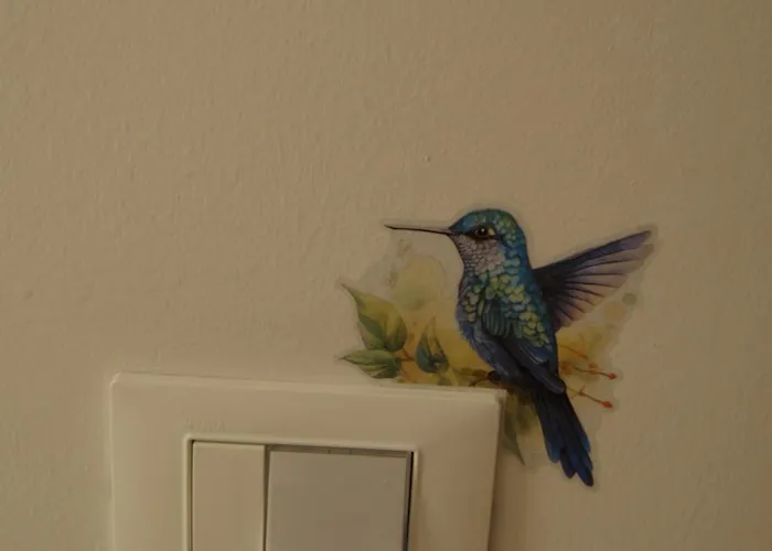 Il Colibri' *